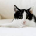 Photo of Mimi