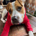 Photo of Winston