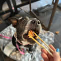 Photo of Coco