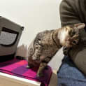 Photo of Tilly