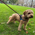 Photo of Sebastian