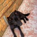 Photo of Wally