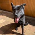 Photo of Wally