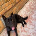 Photo of Wally