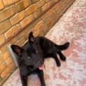 Photo of Wally