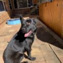 Photo of Wally