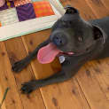 Photo of Mack