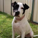 Photo of Mabel