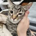 Photo of Naru