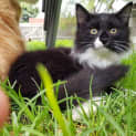 Photo of Albus