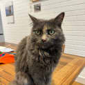 Photo of Matilda