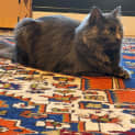 Photo of Matilda