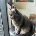Photo of Matilda