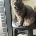 Photo of Matilda