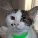 Photo of Elly