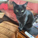 Photo of Astra
