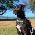 Photo of Jolene