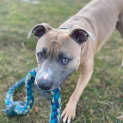 Photo of Zeus