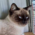 Photo of Rupert