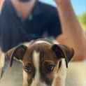 Photo of Molly