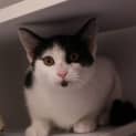 Photo of Maggie