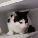 Photo of Maggie