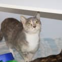 Photo of Honey