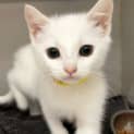 Photo of Olaf