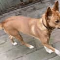 Photo of Dayda