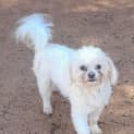 Photo of Buttons 
