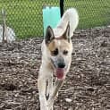 Photo of Rigby