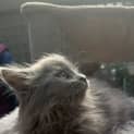 Photo of Alvin