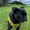 Photo of Fred