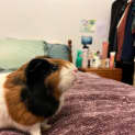 Photo of Princess / Rosie