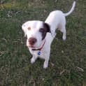 Photo of Ember