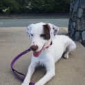 Photo of Ember