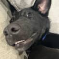 Photo of Tank