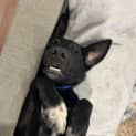 Photo of Tank