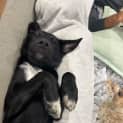 Photo of Tank
