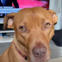 Photo of Jax