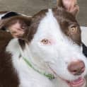 Photo of Cilla