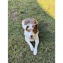 Photo of Maisy