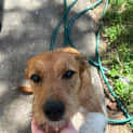 Photo of Sparkles