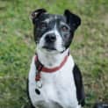 Photo of Ruby Elphinstone
