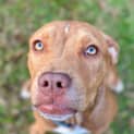 Photo of Zeus