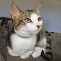 Photo of Kiki