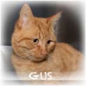 Photo of Gus