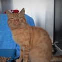 Photo of Gus