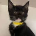 Photo of Sugar