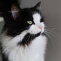 Photo of Mel